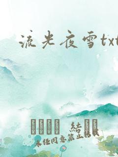 流光夜雪txt