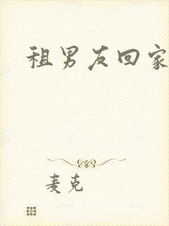 租男友回家过年