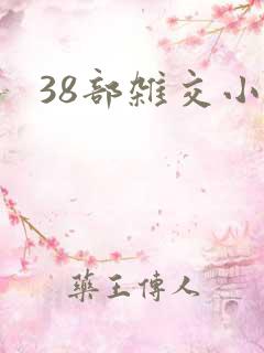 38部杂交小说