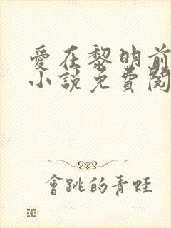 爱在黎明前降落小说免费阅读