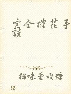 完全摧花手册小说