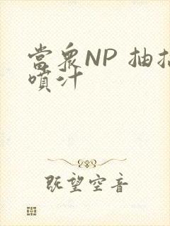 当众NP 抽搐喷汁