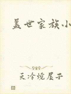 盖世家族小说