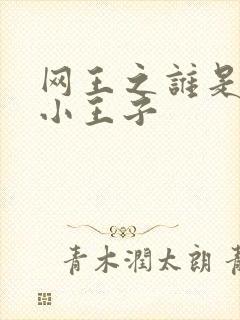 网王之谁是我的小王子