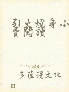 引火烧身小说免费阅读