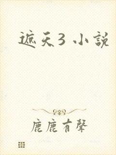 遮天3 小说
