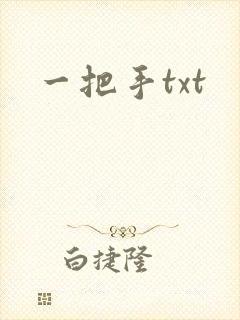 一把手txt