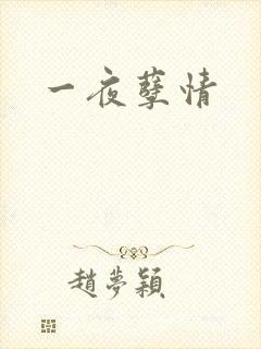 一夜孽情
