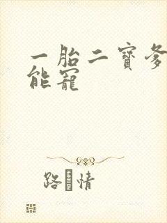 一胎二宝爹地超能宠