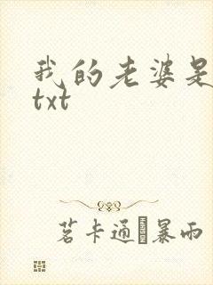 我的老婆是警察txt