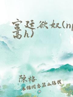 宫廷欲奴(np高h)