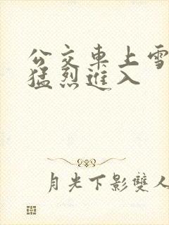 公交车上雪柔被猛烈进入