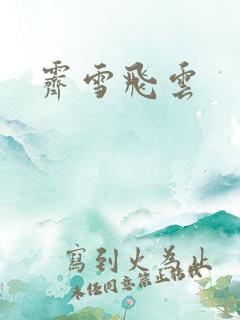 霁雪飞云