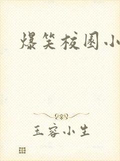 爆笑校园小说