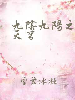 九阴九阳之武战天穹
