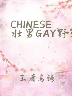 CHINESE壮男GAY野战强迫TUBE