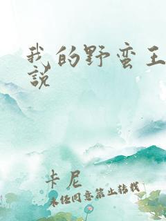 我的野蛮王妃小说