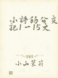 小诗的公交车日记1一15文