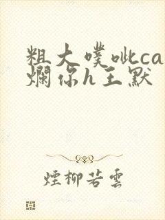 粗大噗呲cao烂你h王默