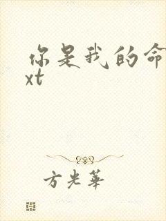 你是我的命运txt