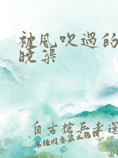 被风吹过的夏天晓渠