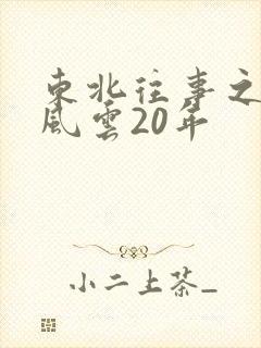 东北往事之黑道风云20年