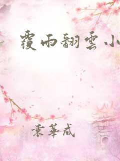 覆雨翻云小说