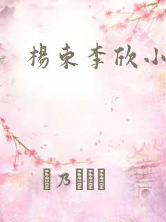 杨东李欣小说