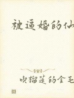 被逼婚的仙二代