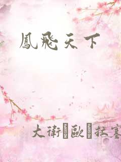 凤飞天下