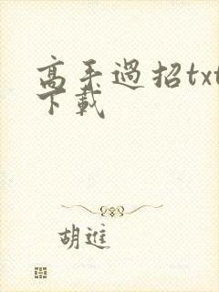高手过招txt下载