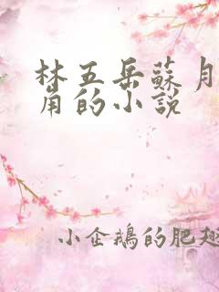 林五岳苏月灵主角的小说