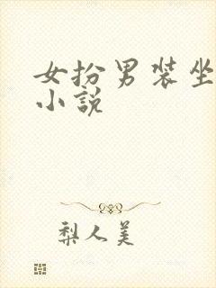 女扮男装坐江山小说