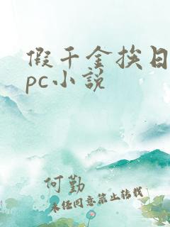 假千金挨日记npc小说