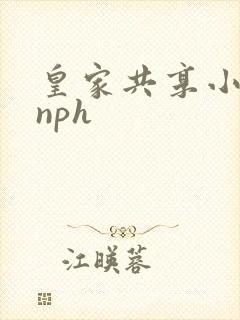 皇家共享小公主nph