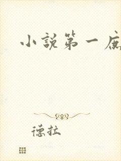 小说第一庶女