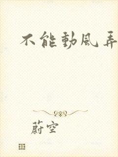 不能动风弄