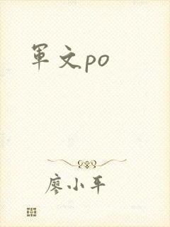 军文po