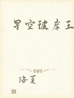 星空彼岸王轩