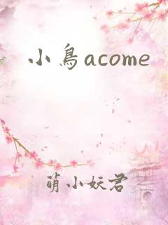 小鸟acome