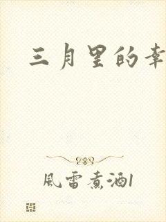 三月里的幸福饼