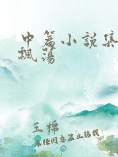 中篇小说集随风飘荡