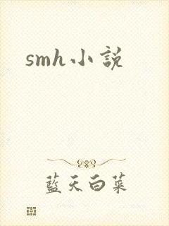 smh小说