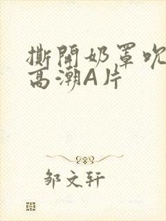 撕开奶罩吮奶头高潮A片