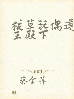 校草玩偶遵命公主殿下