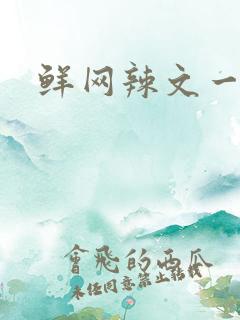 鲜网辣文一对一