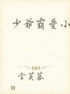 少爷霸爱小丫头