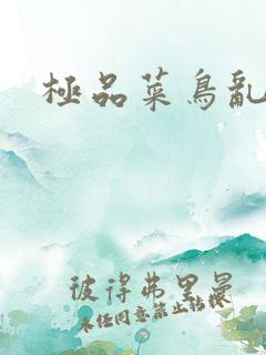 极品菜鸟乱江湖