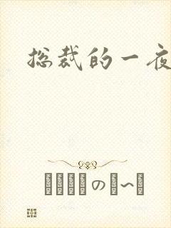 总裁的一夜情人