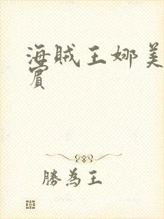 海贼王娜美h罗宾